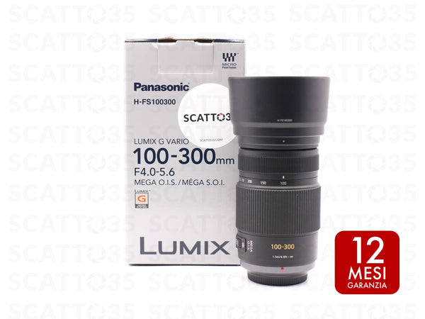Panasonic Lumix 100-300 f4-5.6 OIS